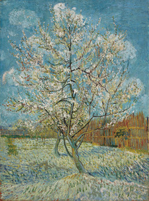 de roze perzikboom van Vincent van gogh